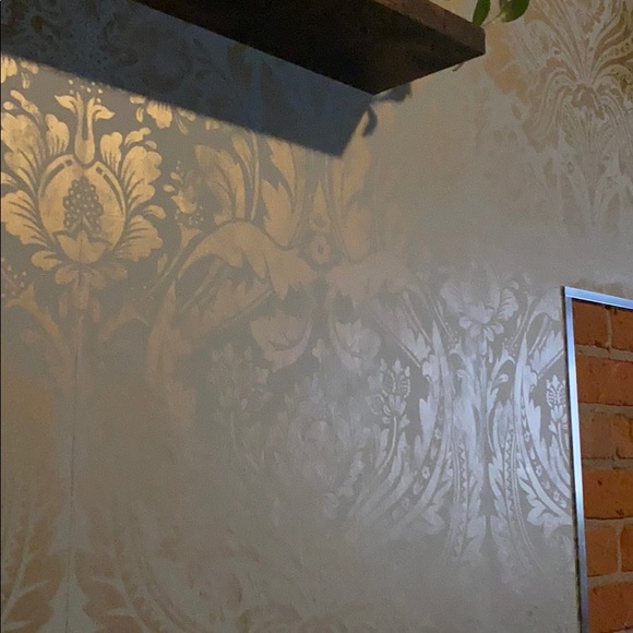 Meet your Posher, Dylan - Picture 1 of 1